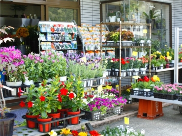 「フラワートリイ」　（石川県鳳珠郡穴水町）の花屋店舗写真2